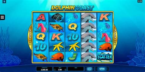 dolphin coast bonuses